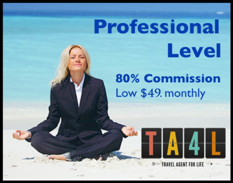 Professional Level - 80% Commission, $49 Monthly Fee